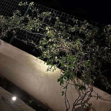 Femar * פורטו אוטיאולו